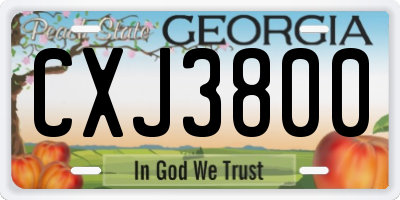 GA license plate CXJ3800