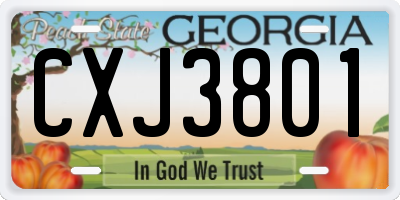 GA license plate CXJ3801