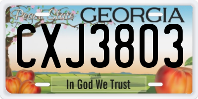 GA license plate CXJ3803