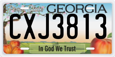 GA license plate CXJ3813