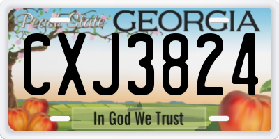 GA license plate CXJ3824