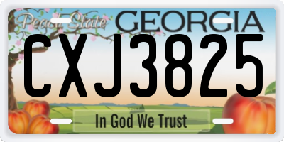 GA license plate CXJ3825
