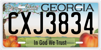 GA license plate CXJ3834