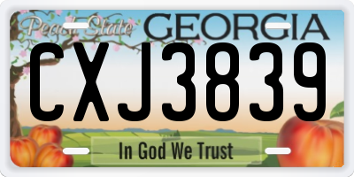 GA license plate CXJ3839