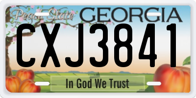 GA license plate CXJ3841