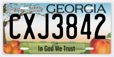 GA license plate CXJ3842