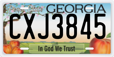 GA license plate CXJ3845
