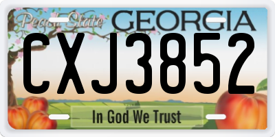 GA license plate CXJ3852