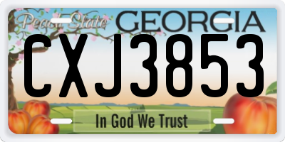 GA license plate CXJ3853