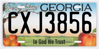 GA license plate CXJ3856