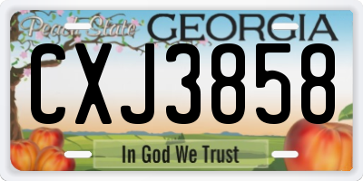 GA license plate CXJ3858