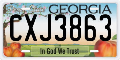 GA license plate CXJ3863