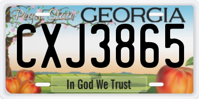 GA license plate CXJ3865