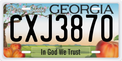 GA license plate CXJ3870