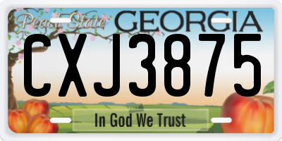 GA license plate CXJ3875