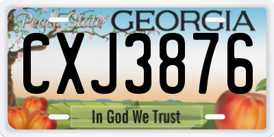 GA license plate CXJ3876