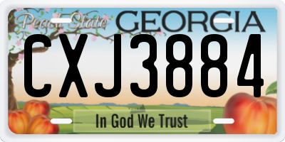 GA license plate CXJ3884
