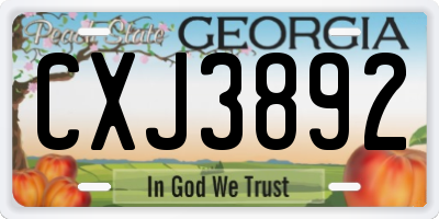 GA license plate CXJ3892