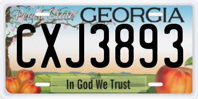 GA license plate CXJ3893