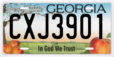 GA license plate CXJ3901