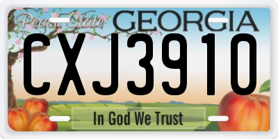 GA license plate CXJ3910