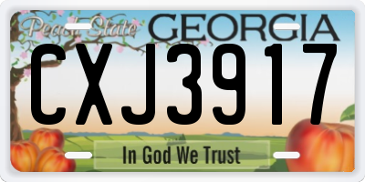GA license plate CXJ3917