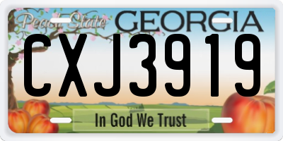 GA license plate CXJ3919