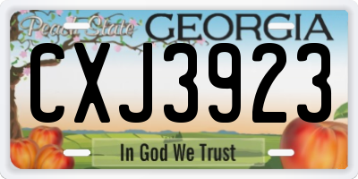 GA license plate CXJ3923