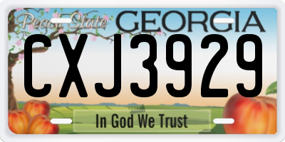 GA license plate CXJ3929
