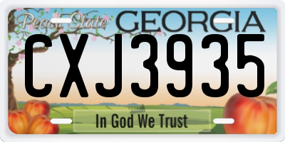 GA license plate CXJ3935