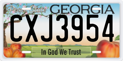 GA license plate CXJ3954