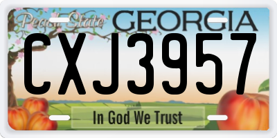 GA license plate CXJ3957