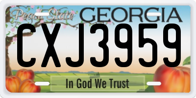 GA license plate CXJ3959