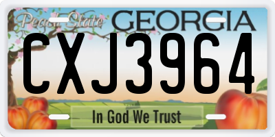 GA license plate CXJ3964