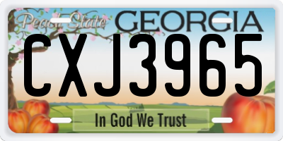 GA license plate CXJ3965