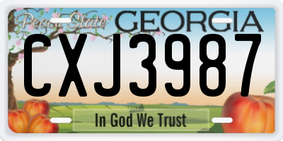 GA license plate CXJ3987
