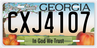 GA license plate CXJ4107