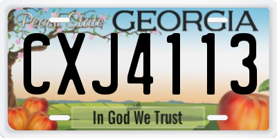 GA license plate CXJ4113