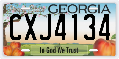 GA license plate CXJ4134