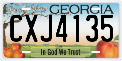 GA license plate CXJ4135