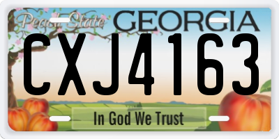 GA license plate CXJ4163