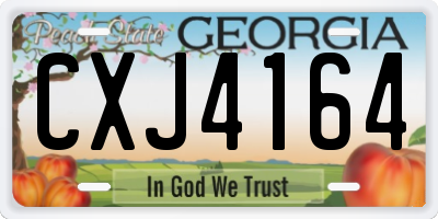 GA license plate CXJ4164