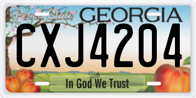 GA license plate CXJ4204