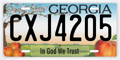 GA license plate CXJ4205
