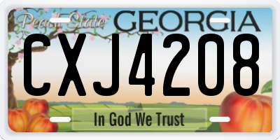GA license plate CXJ4208