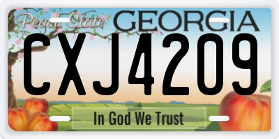GA license plate CXJ4209