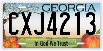 GA license plate CXJ4213