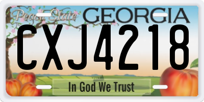 GA license plate CXJ4218