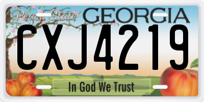 GA license plate CXJ4219