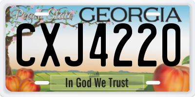 GA license plate CXJ4220